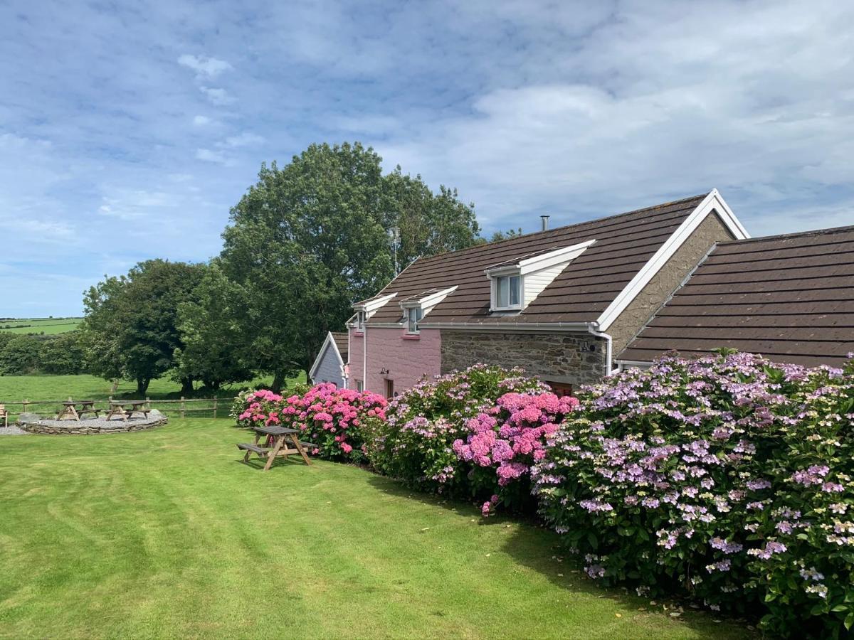 Canllefaes Cottages Cardigan Extérieur photo