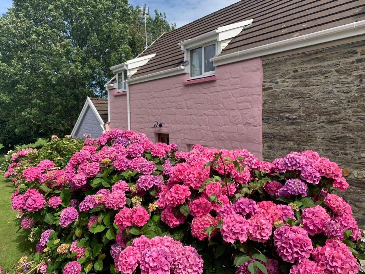 Canllefaes Cottages Cardigan Extérieur photo